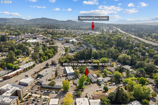 drone / aerial view featuring a mountain view