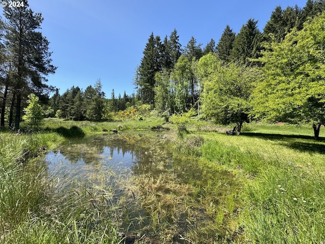 view of local wilderness featuring a water view