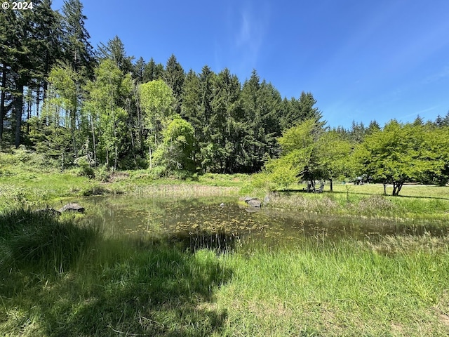 view of nature featuring a water view