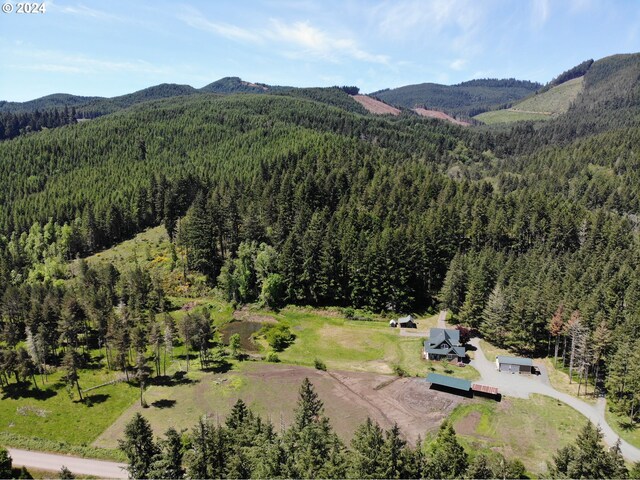 aerial view with a mountain view