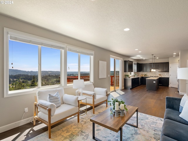 living room featuring a wealth of natural light, a textured ceiling, and dark wood-type flooring