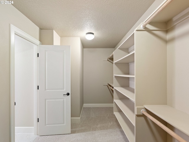 walk in closet with light colored carpet