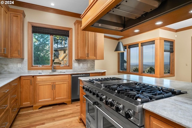 kitchen with range hood, stainless steel appliances, decorative backsplash, and light hardwood / wood-style flooring