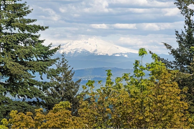 view of mountain feature