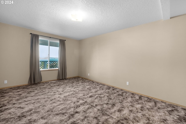 spare room with carpet flooring and a textured ceiling