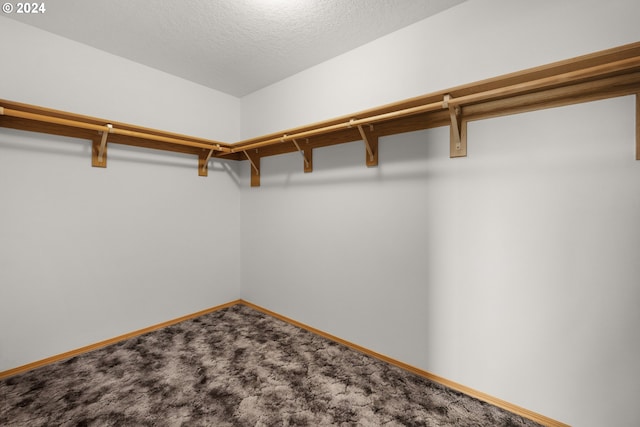 spacious closet featuring carpet