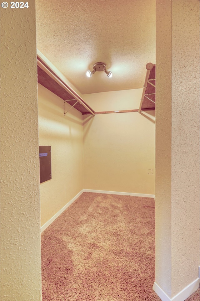 walk in closet featuring carpet flooring