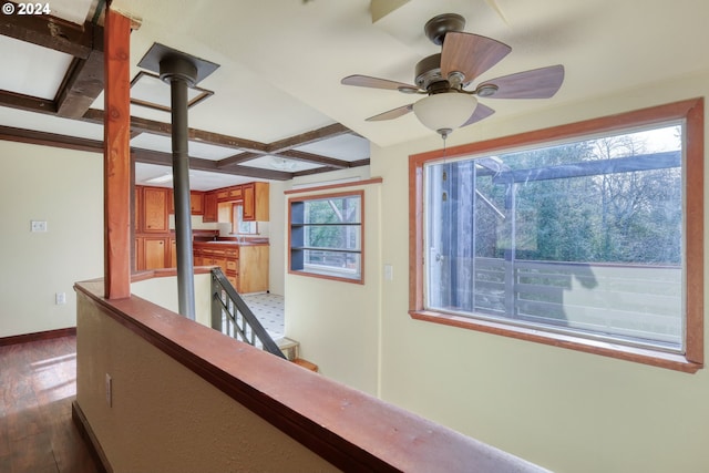 hallway with beamed ceiling, dark wood-type flooring, and coffered ceiling