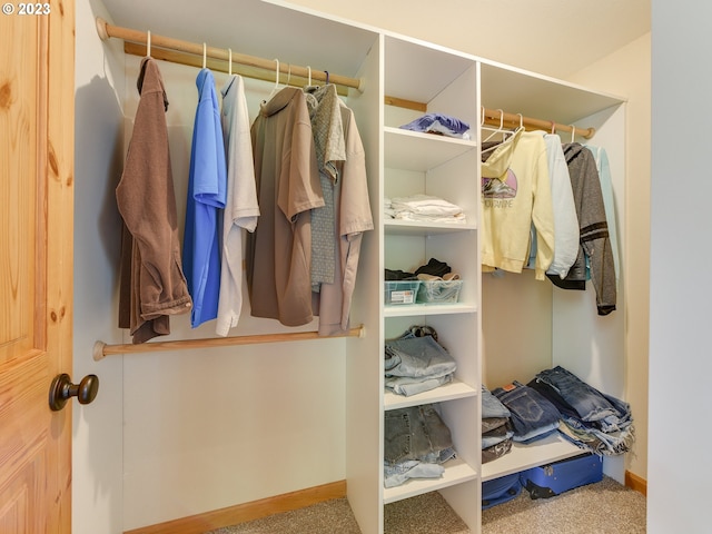 spacious closet featuring carpet