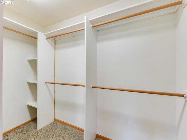 walk in closet featuring carpet