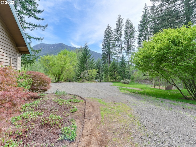 view of road with a view of trees and a mountain view