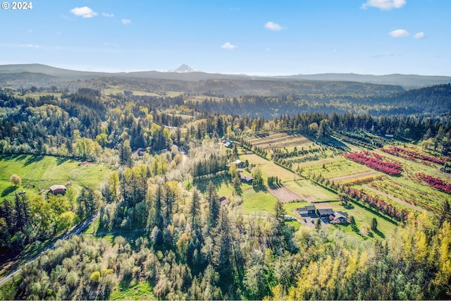 birds eye view of property with a mountain view