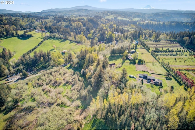 aerial view with a mountain view