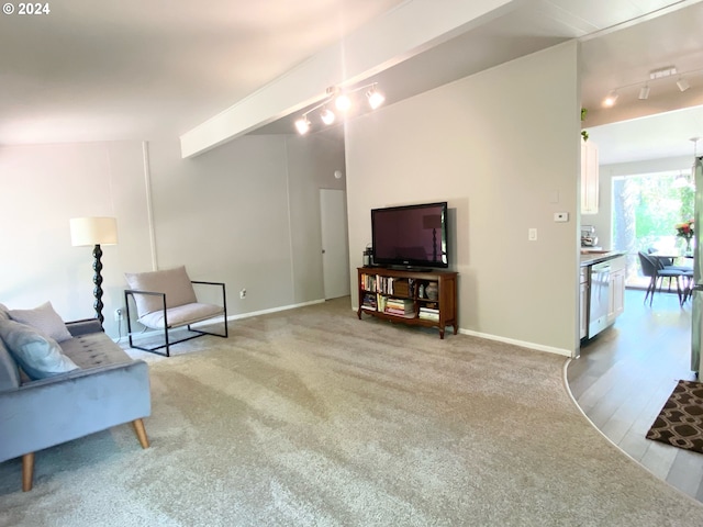 living area with light wood finished floors, baseboards, track lighting, and light colored carpet