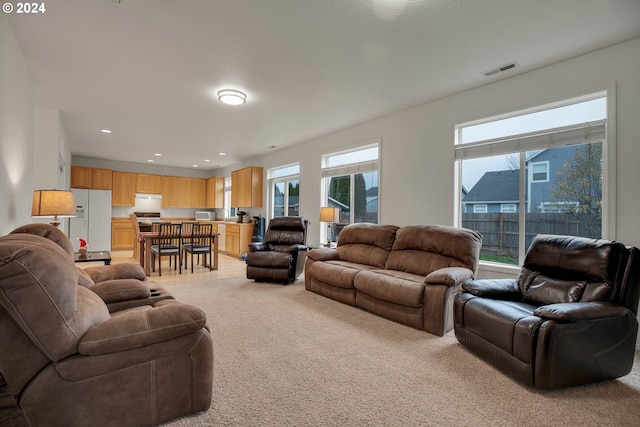 carpeted living room featuring a healthy amount of sunlight