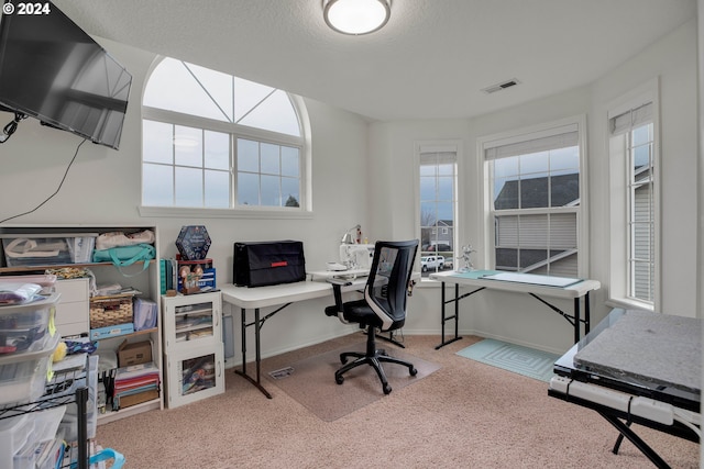 office space featuring light carpet and a wealth of natural light