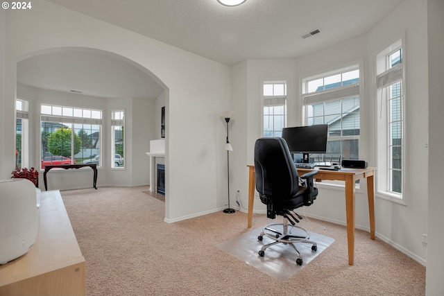 carpeted home office featuring a wealth of natural light