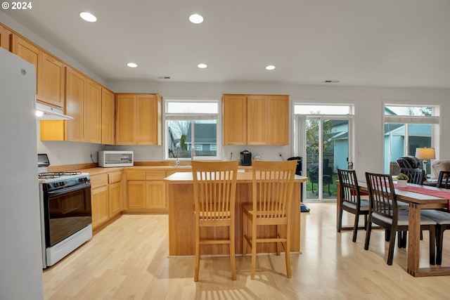 kitchen featuring white appliances, light brown cabinetry, a wealth of natural light, and light hardwood / wood-style flooring