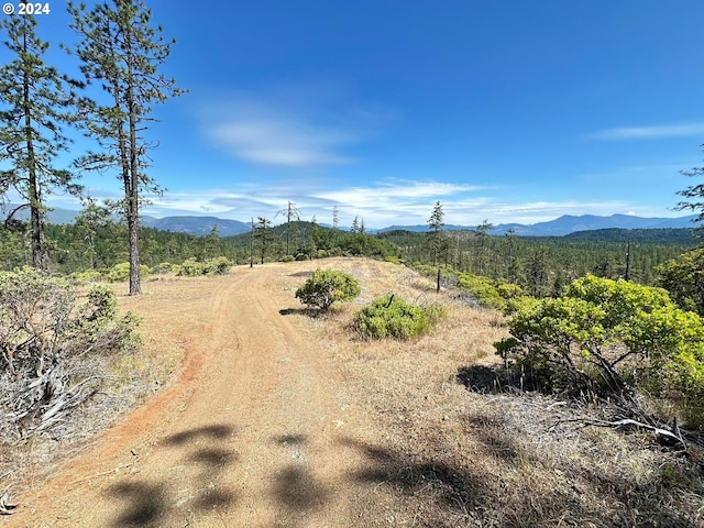 3300 Waldo Rd, Cave Junction OR, 97523 land for sale