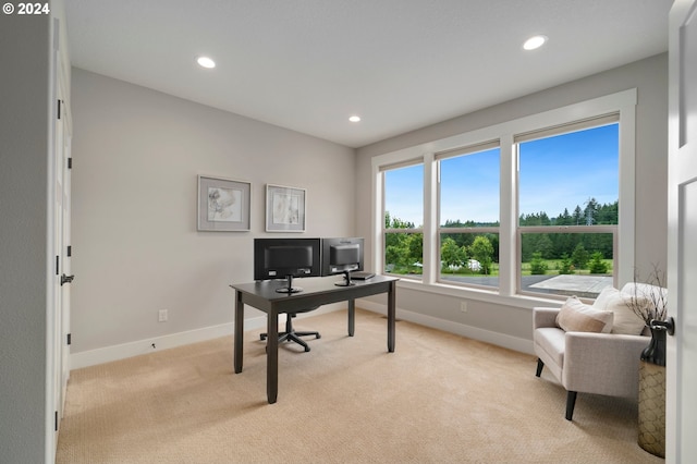 home office with light carpet