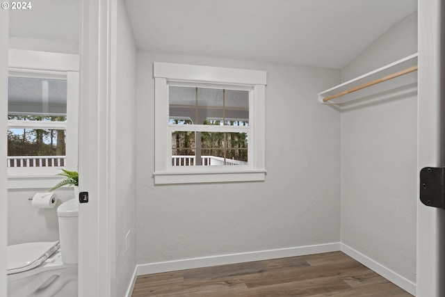 walk in closet featuring dark wood-type flooring and vaulted ceiling