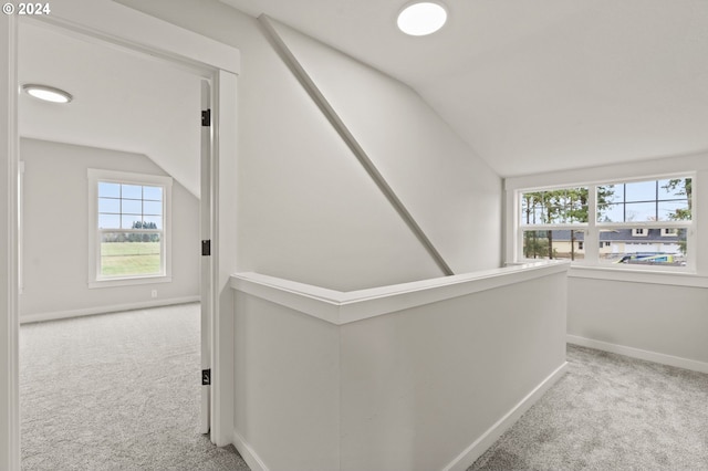 corridor featuring light carpet, a wealth of natural light, and lofted ceiling