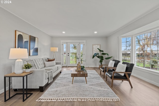 living room featuring a healthy amount of sunlight and light hardwood / wood-style flooring