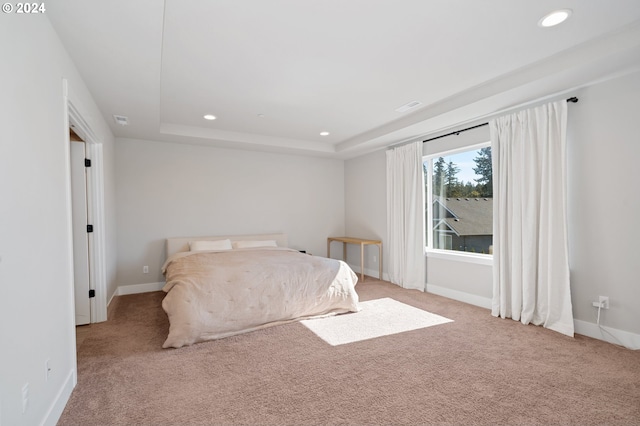 carpeted bedroom featuring a tray ceiling