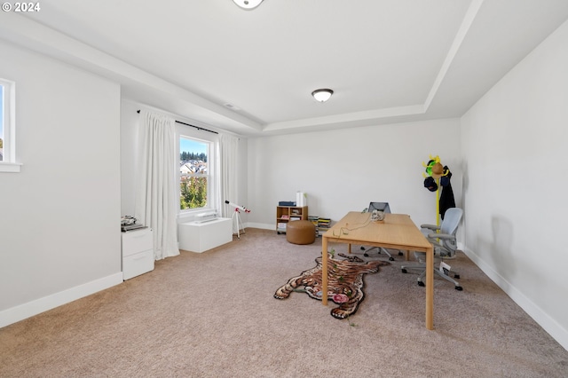 carpeted office featuring a tray ceiling