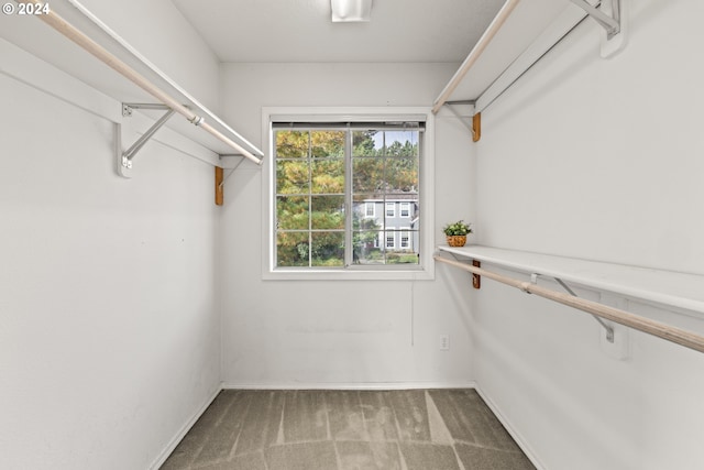 spacious closet with carpet flooring