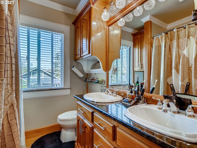 bathroom with vanity, toilet, a wealth of natural light, and crown molding