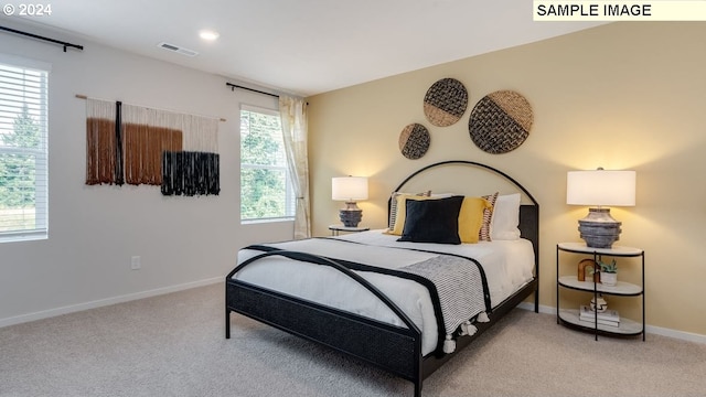 carpeted bedroom featuring multiple windows