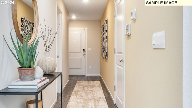 doorway featuring wood-type flooring