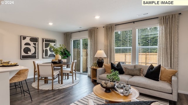 living room with dark hardwood / wood-style flooring