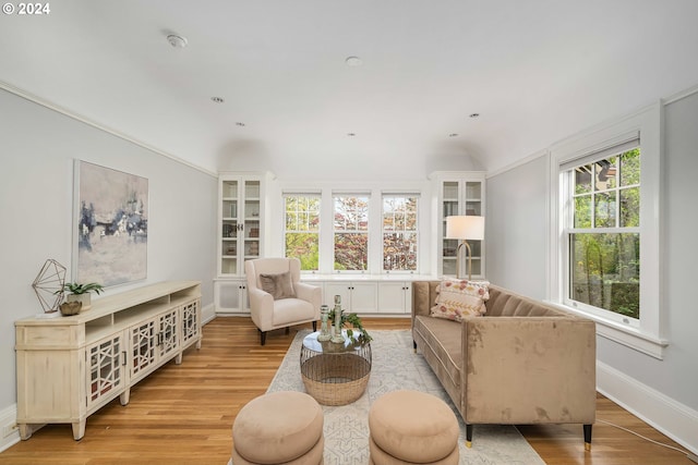 living room featuring light hardwood / wood-style flooring