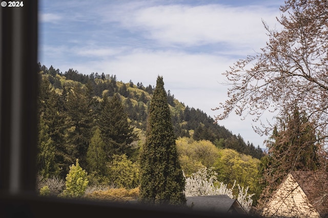 view of local wilderness