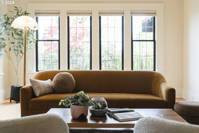 living room featuring wood-type flooring