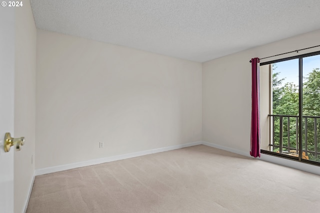 spare room with a textured ceiling and light carpet