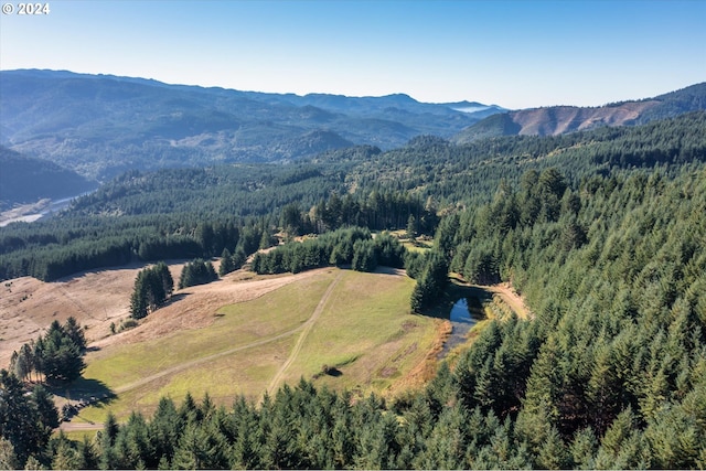 birds eye view of property featuring a mountain view