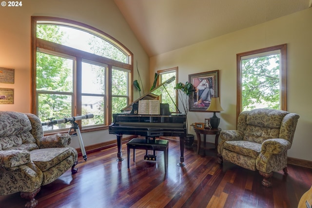 sitting room featuring plenty of natural light, dark hardwood / wood-style flooring, and lofted ceiling