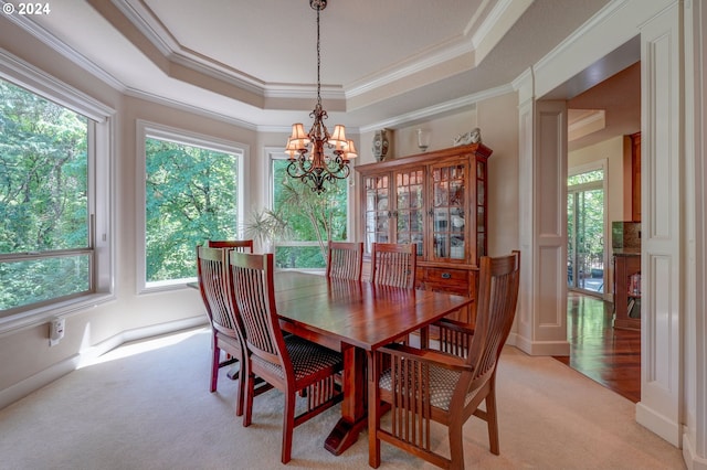 carpeted dining room with a notable chandelier, a raised ceiling, and ornamental molding