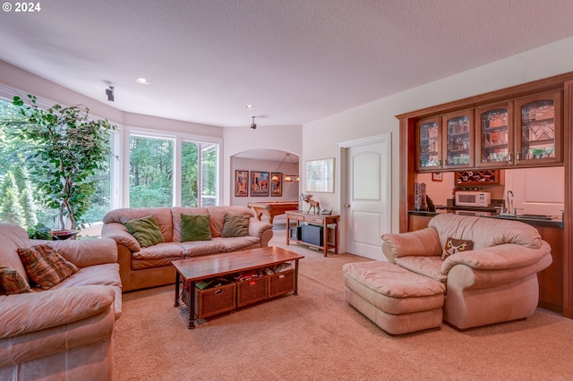 carpeted living room with a textured ceiling