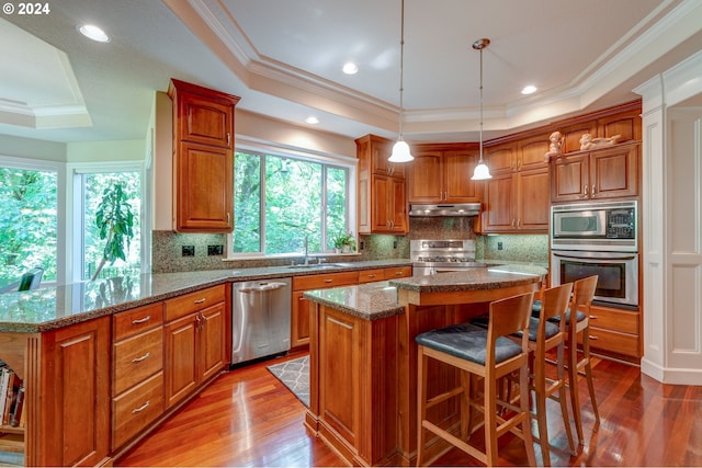 kitchen featuring pendant lighting, sink, a tray ceiling, a kitchen island, and stainless steel appliances