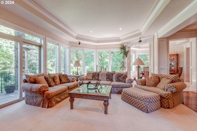 carpeted living room featuring a raised ceiling and crown molding