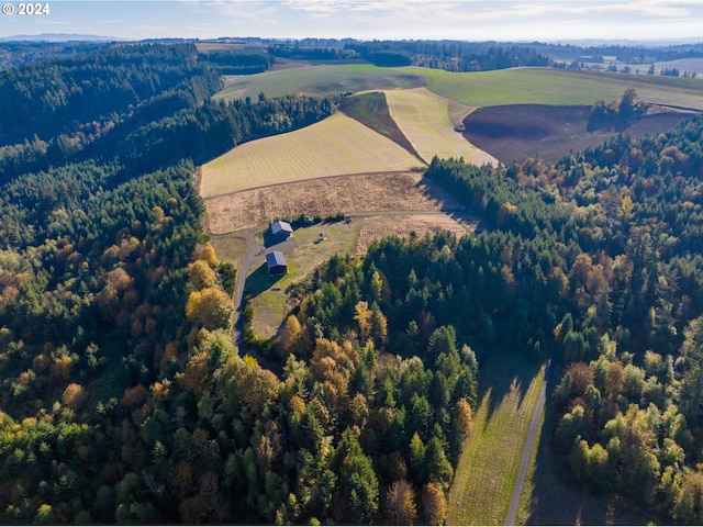 drone / aerial view featuring a rural view