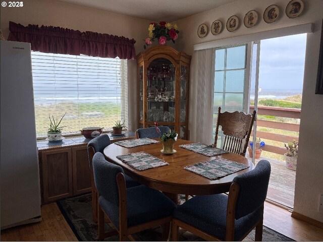 dining area featuring wood-type flooring