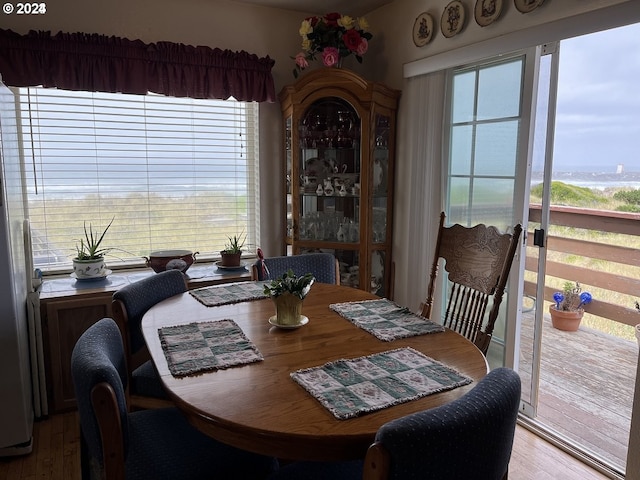 dining space featuring wood-type flooring