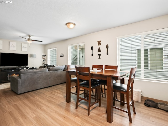 dining space with light hardwood / wood-style floors and ceiling fan