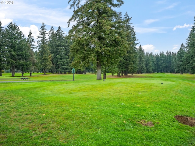 view of community with a lawn