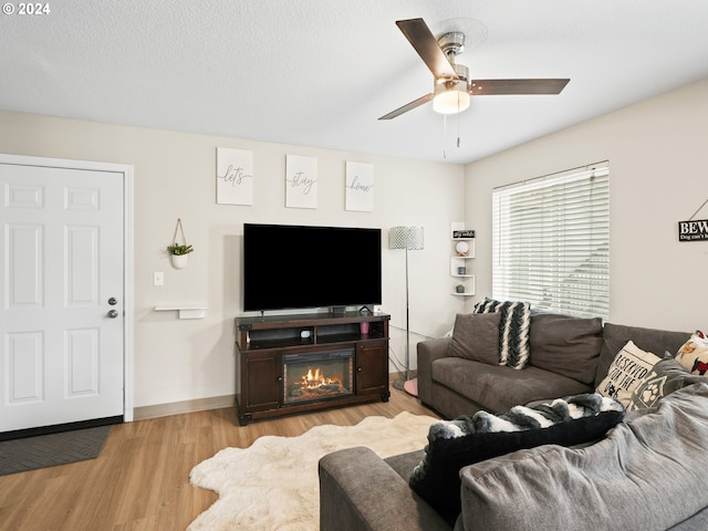 living room featuring ceiling fan, a textured ceiling, and light hardwood / wood-style flooring